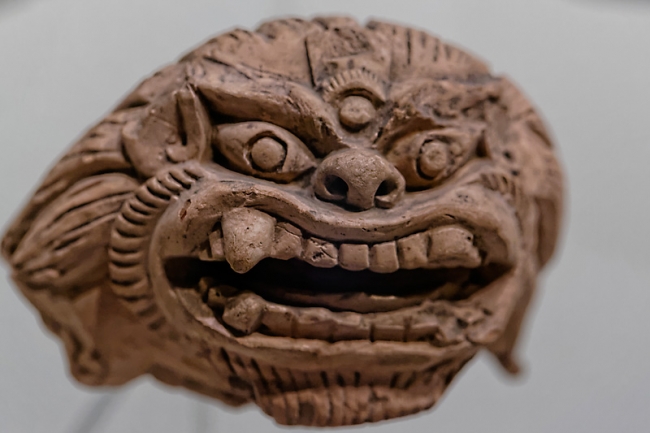 L'envol du dragon-006